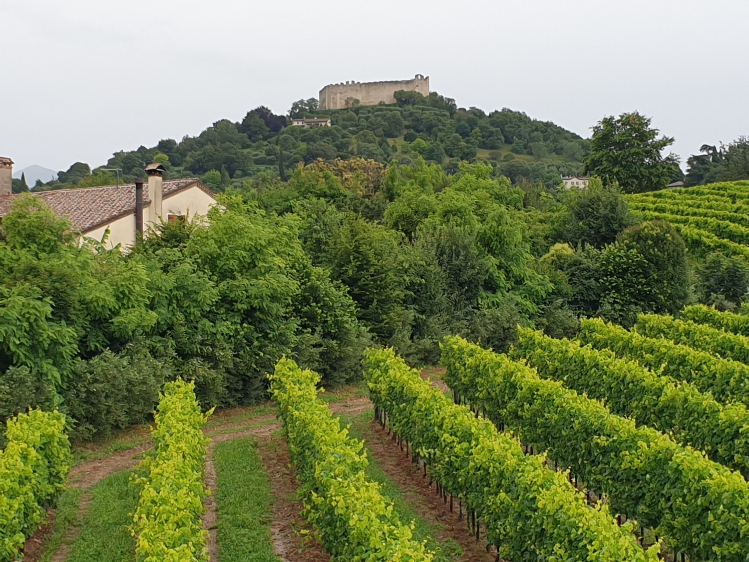 Progress Country & Wine House Progress Country & Wine House